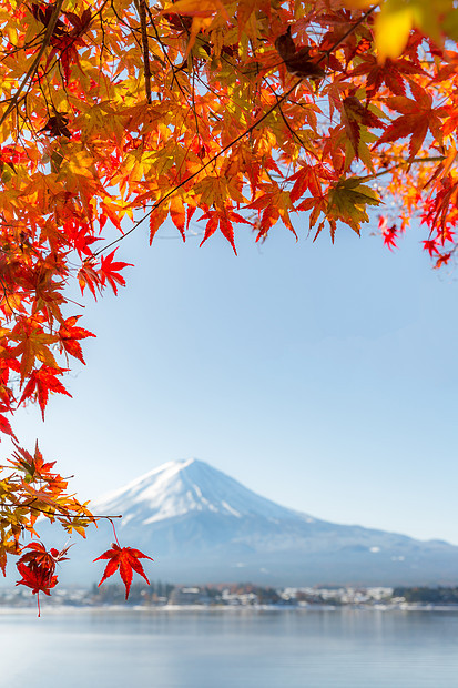 mt富士秋季KawaguchikoKawaguchi湖日本Fujikawaguchiko选择图片