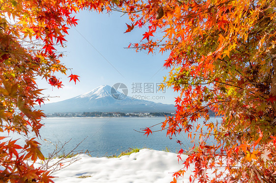 mt富士秋季KawaguchikoKawaguchi湖日本Fujikawaguchiko选择图片