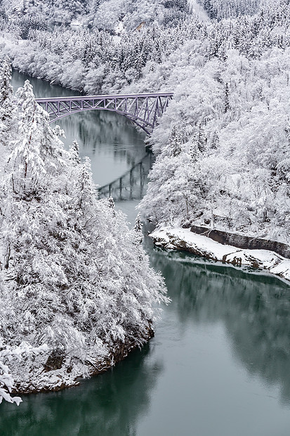 冬天的景观雪覆盖着桥上的火车过河的树木图片