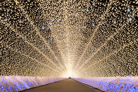 名古屋,日本纳巴纳冬天的夜晚没萨托花园图片