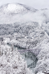 冬天的景观雪覆盖着桥上的火车过河的树木图片