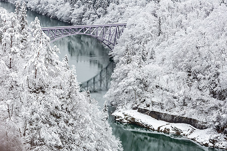 冬天的景观雪覆盖着桥上的火车过河的树木图片