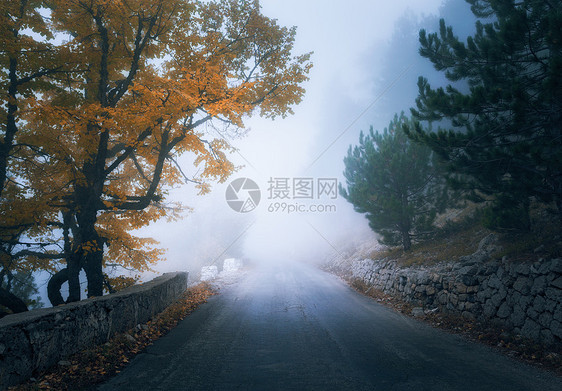 神秘的秋雾森林与道路雾中飘落薄雾树林五颜六色的风景树木,山路,橙色叶子,蓝雾旅行秋天的背景魔法森图片