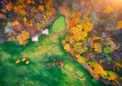 晚上俯瞰欧洲惊人的秋季公园风景与树木与五颜六色的叶子,田野与绿草小径秋天飞行无人机的风景森林的顶部景色自然图片