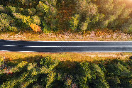 白云岩日出时意大利森林道路的鸟瞰图完美的沥青道路的顶部景观,秋天的绿树橘子树公路穿过秋天的林地欧洲旅行旅行图片