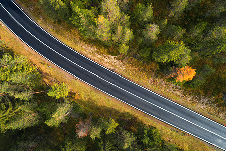白云岩日出时意大利森林道路的鸟瞰图完美的沥青道路的顶部景观,秋天的绿树橘子树公路穿过秋天的林地欧洲旅行旅行图片