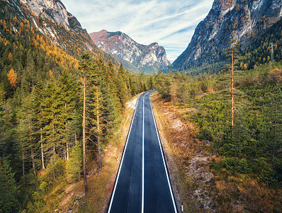 白云岩山林道路的鸟瞰图完美的沥青巷道,高山,秋天的青松树公路穿过秋天的林地欧洲旅行旅行图片