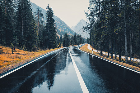雨中秋林中的道路阴雨天完美的沥青山路意大利阿尔卑斯山上倒影松树的巷道运输雾林中的空公路旅行背景图片