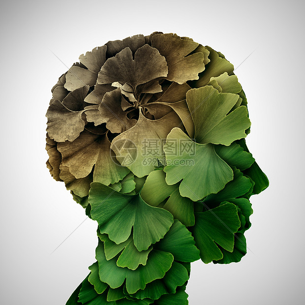痴呆记忆丧失脑老化的,由于阿尔茨海默病个医学图标与银杏叶形状为人类头部三维插图风格图片