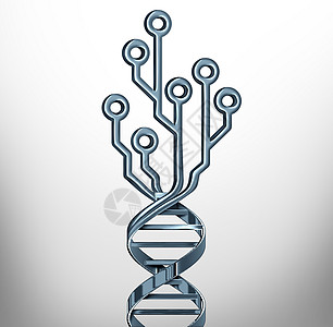 数字DNA创新符号遗传学测试医学技术生物技术研究,基因符号与计算机电路三维插图图片