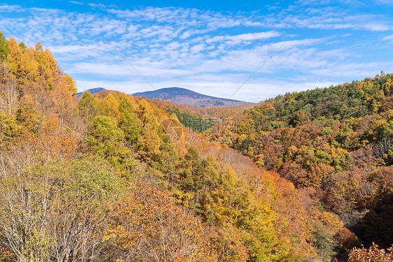 日本秋季福岛大桥上的中川峡图片