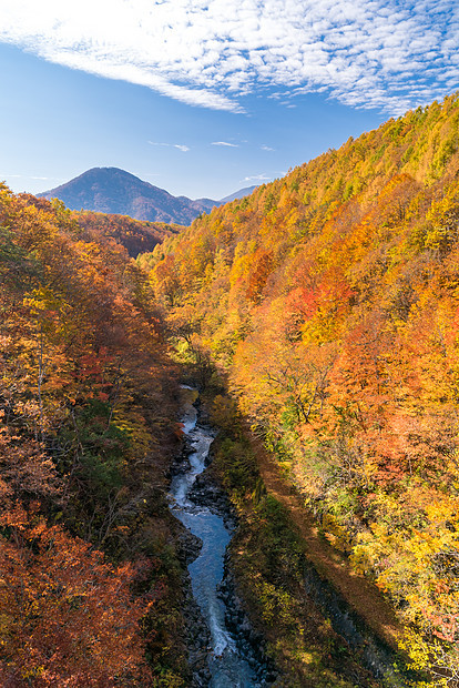 日本秋季福岛大桥上的中川峡图片