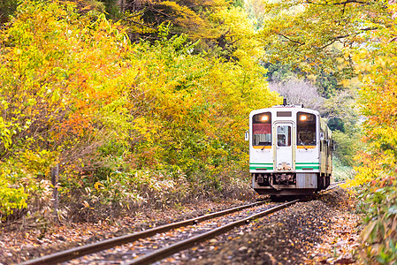 秋叶与白色火车通勤福岛日本图片