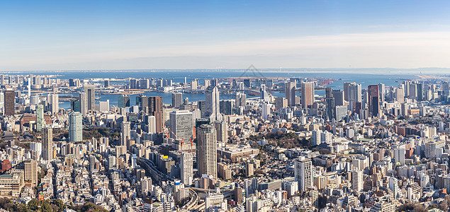 东京天际线建筑东京日本全景图片