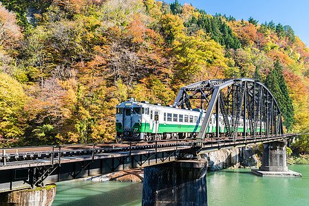 秋叶福岛蝌蚪黑桥观景点福岛日本图片