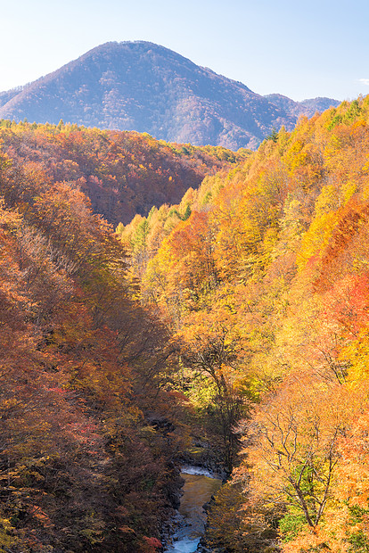 日本秋季福岛大桥上的中川峡图片