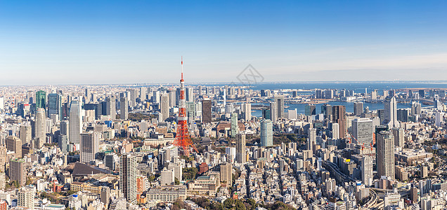 东京塔与天际线东京日本全景图片