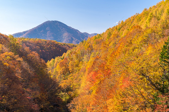 日本秋季福岛大桥上的中川峡图片