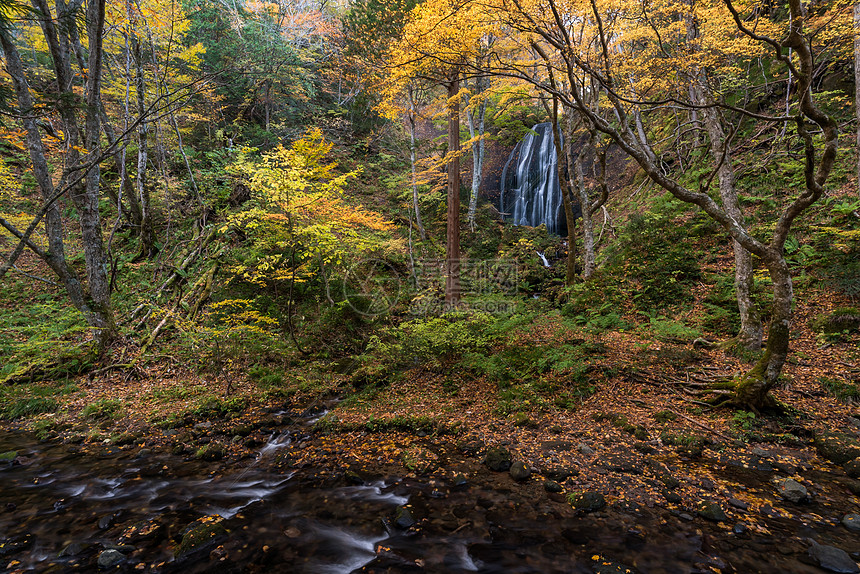福岛秋秋季节的Tatsuzawafudo瀑布图片