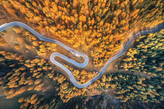 秋天森林里蜿蜒的道路日落的山上鸟瞰完美的沥青道路橘子树的顶部视图公路秋天穿过林地欧洲旅行旅行自然图片