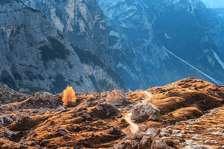 秋天日落时,山上只棵橘子叶子的树意大利白云岩山地公园内的岩石森林彩色草地小径景观秋天的风景意大利阿尔卑斯山图片
