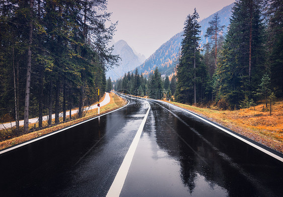 雨中秋林中的道路图片