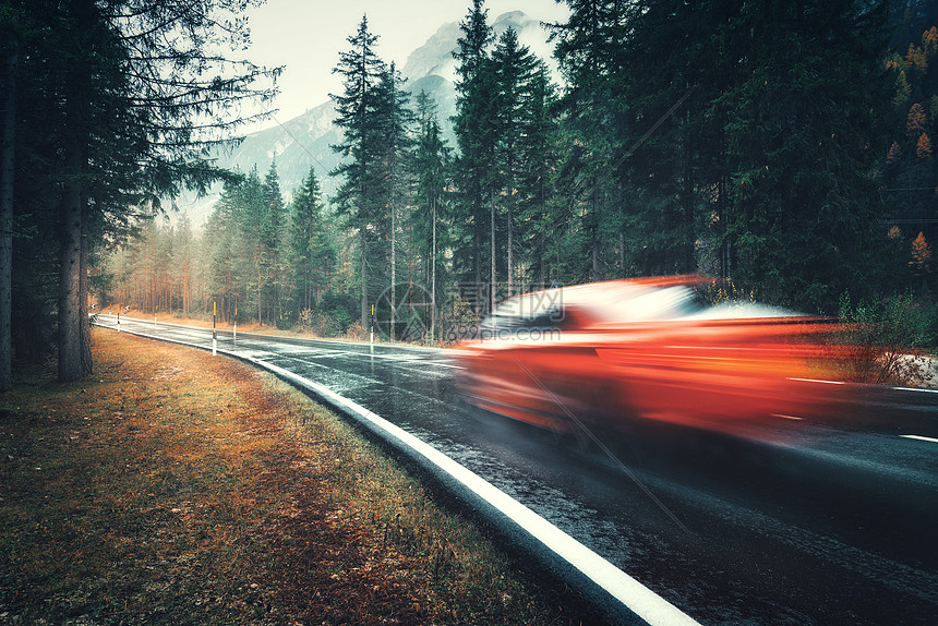模糊的红色汽车秋天的森林里的道路上运动阴雨天完美的沥青山路巷道,意大利阿尔卑斯山的松树运输雾林中的公路图片