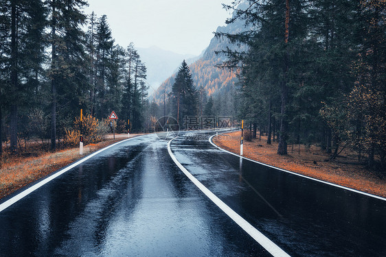 雨中秋林中的道路图片