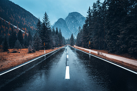 雨中秋林中的道路阴雨天完美的沥青山路意大利阿尔卑斯山上倒影松树的巷道运输雾林中的空公路旅行图片