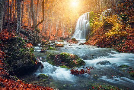 秋天树叶美丽的瀑布山河五颜六色的秋天森林,红色橙色的叶子日落自然景观背景