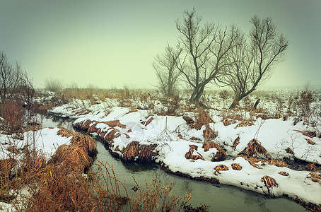 冬天的风景绿雾中的河流中乌克兰的森林图片