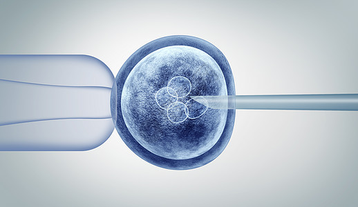 受精的人卵胚分裂细胞3D插图背景图片