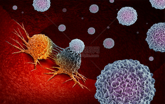 癌症免疫治疗种人类免疫系统治疗,种生物医学生物医学肿瘤学治疗,利用人体的自然T细胞战斗特三维渲染图片