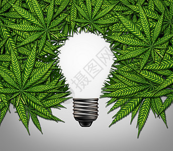 思维创造力消费符号灯泡形状,由杂草叶草药病人,并影响心理学贩的与三维插图元素图片