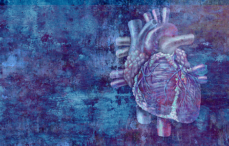 人的心脏解剖个肮脏的背景上,个医疗保健符号心脏学图标的内部心血管器官三维插图风格图片