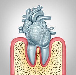 牙齿护理口腔健康心脏病卫生引的牙菌斑牙龈感染,由于口腔细菌破坏瓣膜,如牙齿形状为心血管器官,三维插图图片