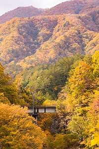 秋叶与红色火车通勤福岛日本图片