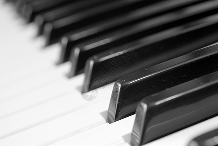 钢琴键盘,琴键图片