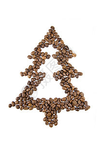 咖啡豆中分离出来的冷杉树图片