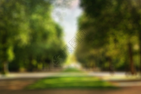 夏天的城市公园模糊的背景与博克夏天的城市公园模糊了背景图片
