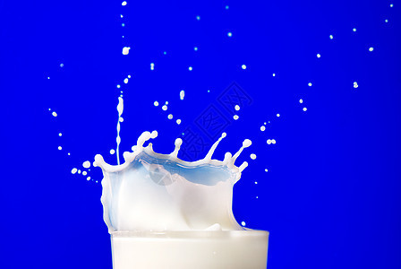 牛奶溅蓝色上图片