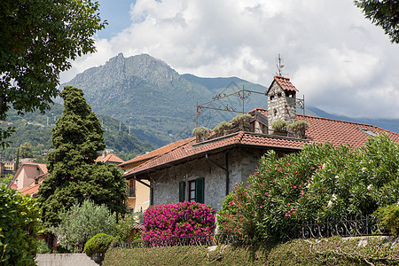 意大利美丽的房子,绿色的花园鲜花图片