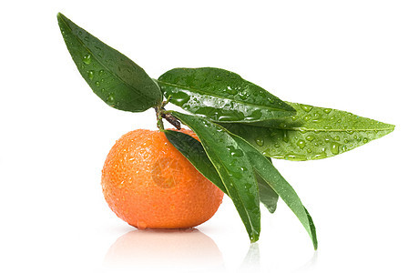 橘子绿叶水滴分离白色图片