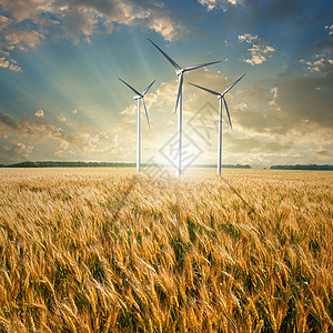 麦田上的风力发电机涡轮机图片