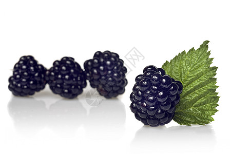 黑莓与绿叶分离白色图片