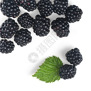 黑莓与绿叶分离白色图片