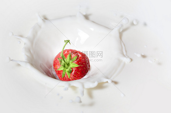 草莓溅牛奶里图片