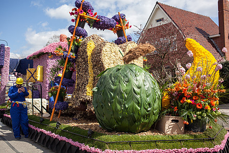 荷兰丽斯20134月20日花卉上的花卉构图荷兰诺德威克哈莱姆度的花卉场42公里的美丽色彩诱人图片