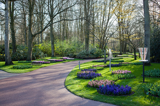 荷兰著名的花卉公园Keukenhof也被称为欧洲花园,世界上最大的花卉花园图片