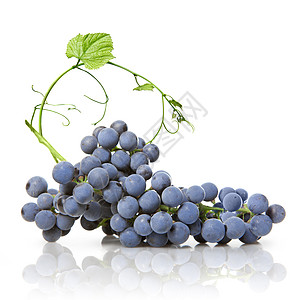 蓝色葡萄与绿叶分离白色图片
